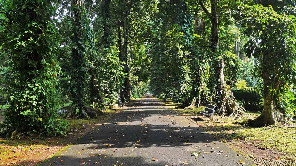 Rekomendasi Jalan-Jalan ke Bogor